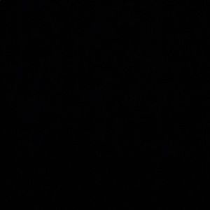 Meet your Posher, Lee